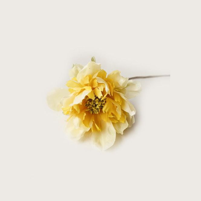 Hovedbilde Snittblomst gul