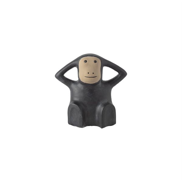 Hovedbilde Robbie stor