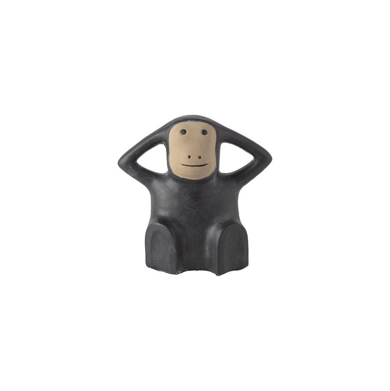 Robbie stor